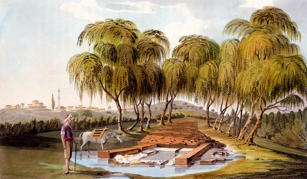 Primavera na nascente do rio Skamander, 1804 de William Gell