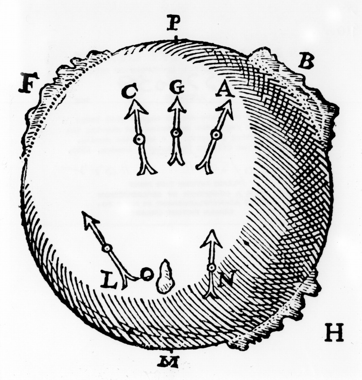 Um ímã terrestre ou em forma de globo com pedaços de ferro para representar montanhas e mostrar a propriedade de uma agulha magnética que busca o norte. De William Gilbert De Magnete, Londres, 1600 de William Gilbert