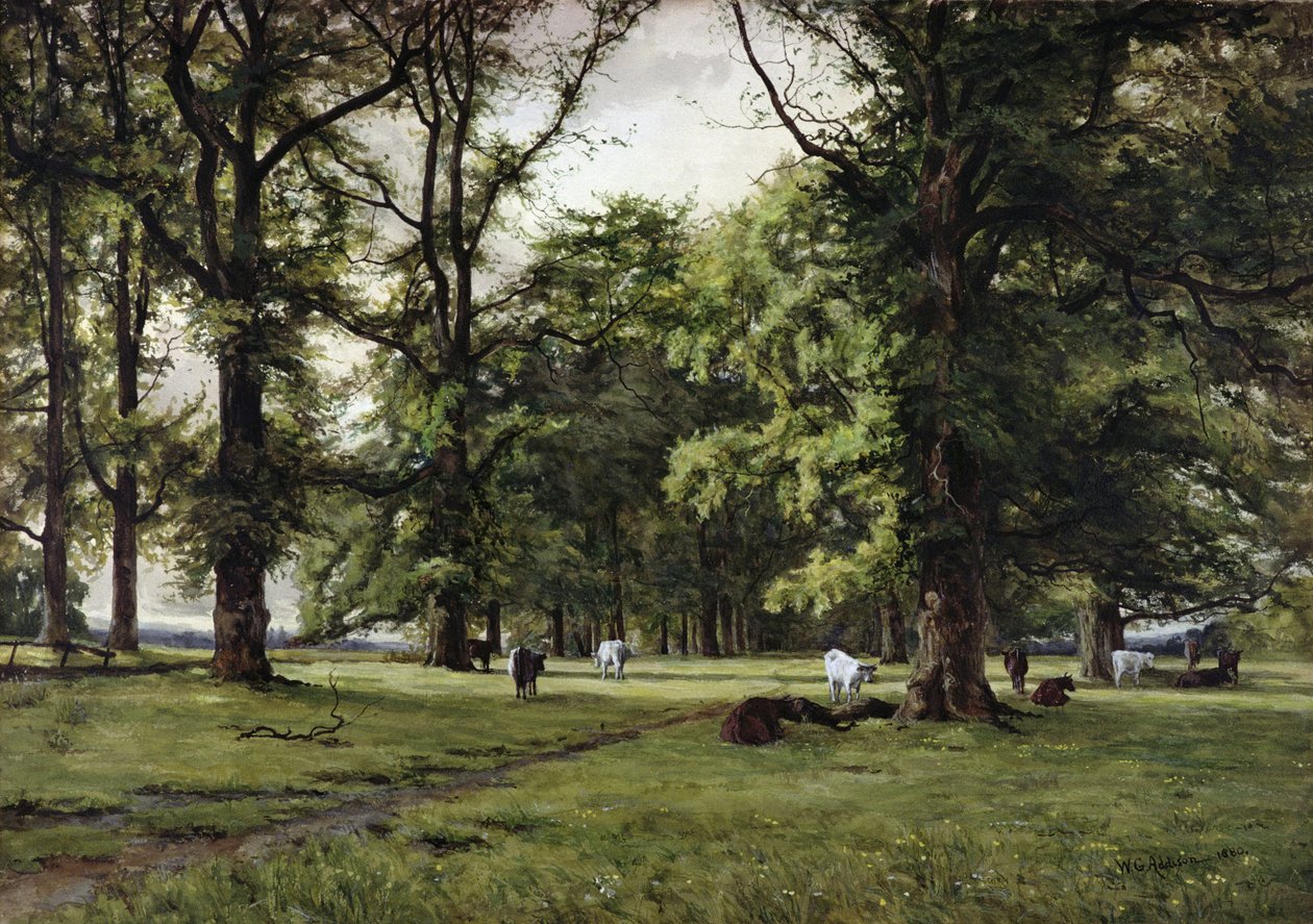 The Elm Walk de William Grylls Addison