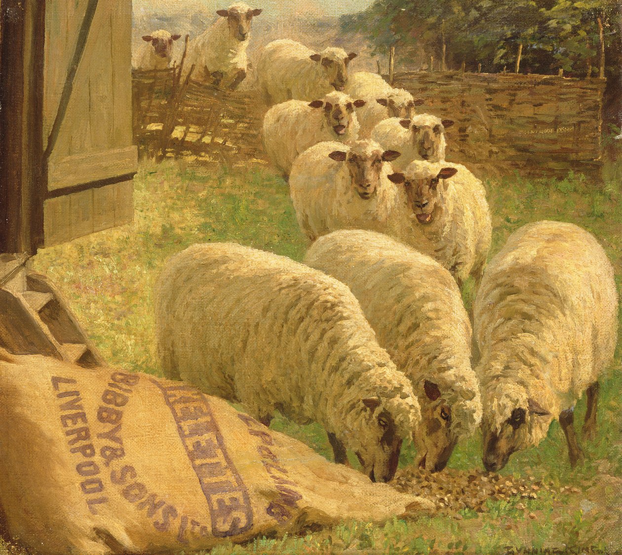 Ovelhas alimentando-se de um saco de grãos virado para cima de William Gunning King