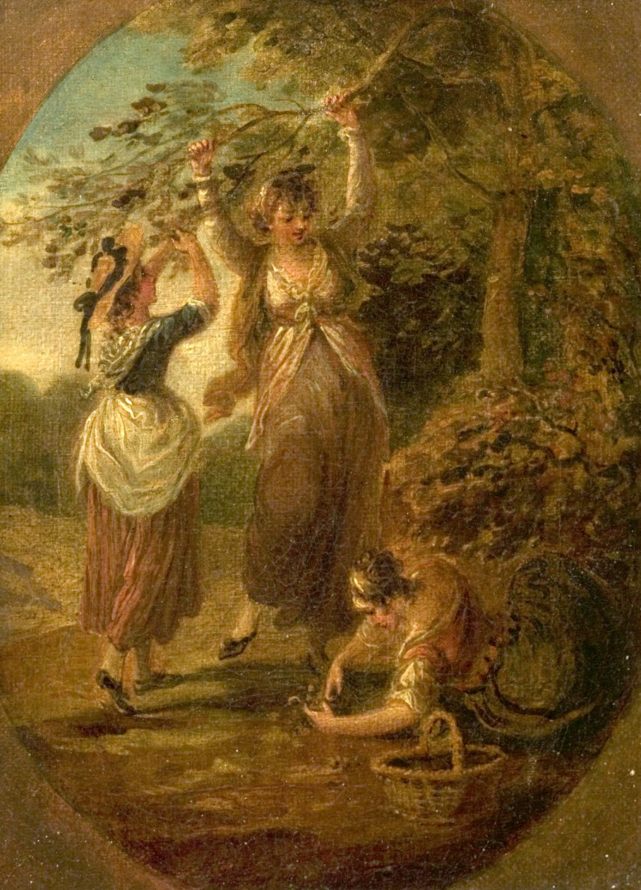 Os Nozes-Coletores de William Hamilton