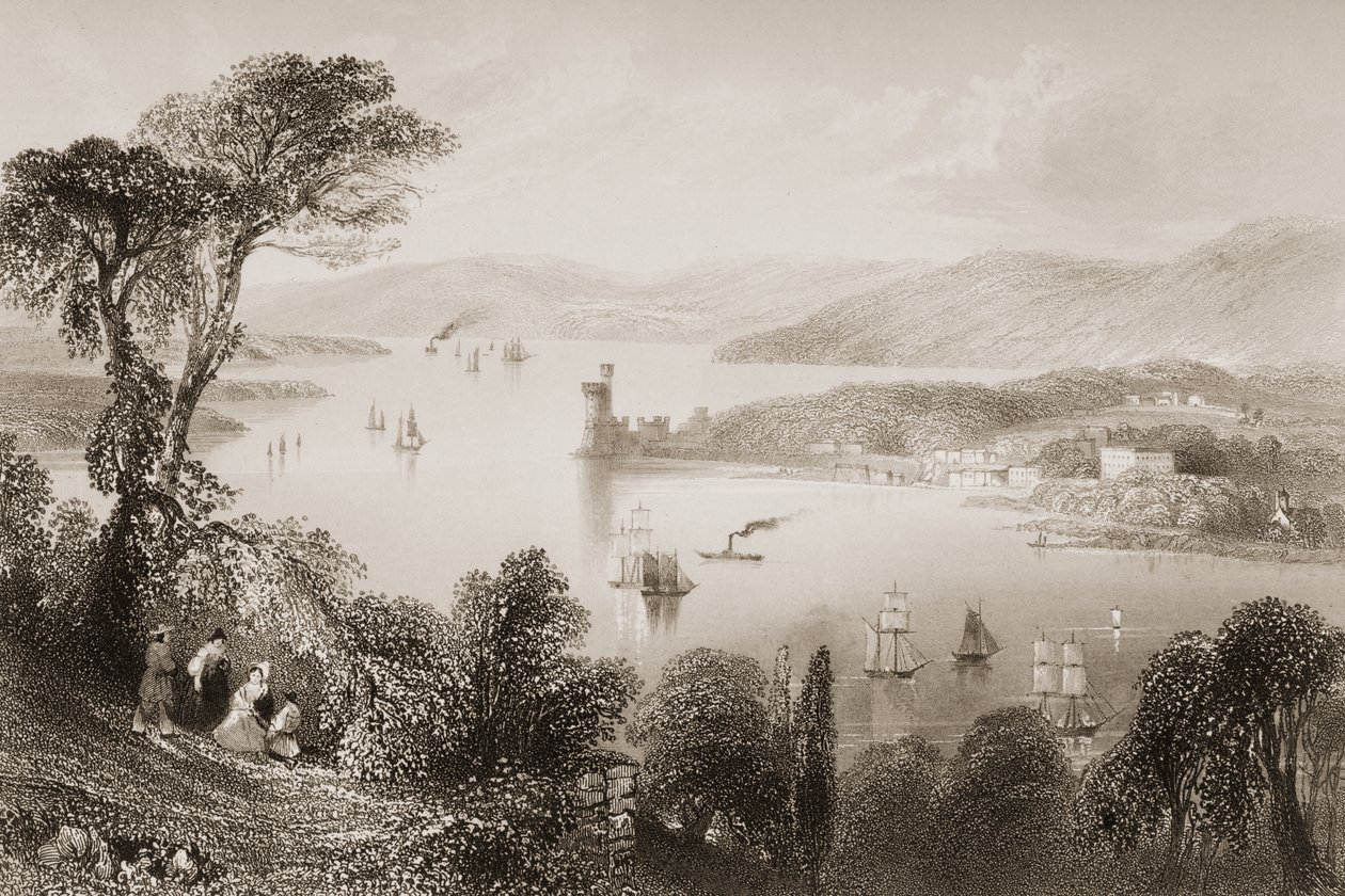 O Rio Cork a partir de baixo Glanmire Road, Condado de Cork, na Irlanda, de "Cenário e Antiguidades da Irlanda" por George Virtue, de 1860 de William Henry Bartlett
