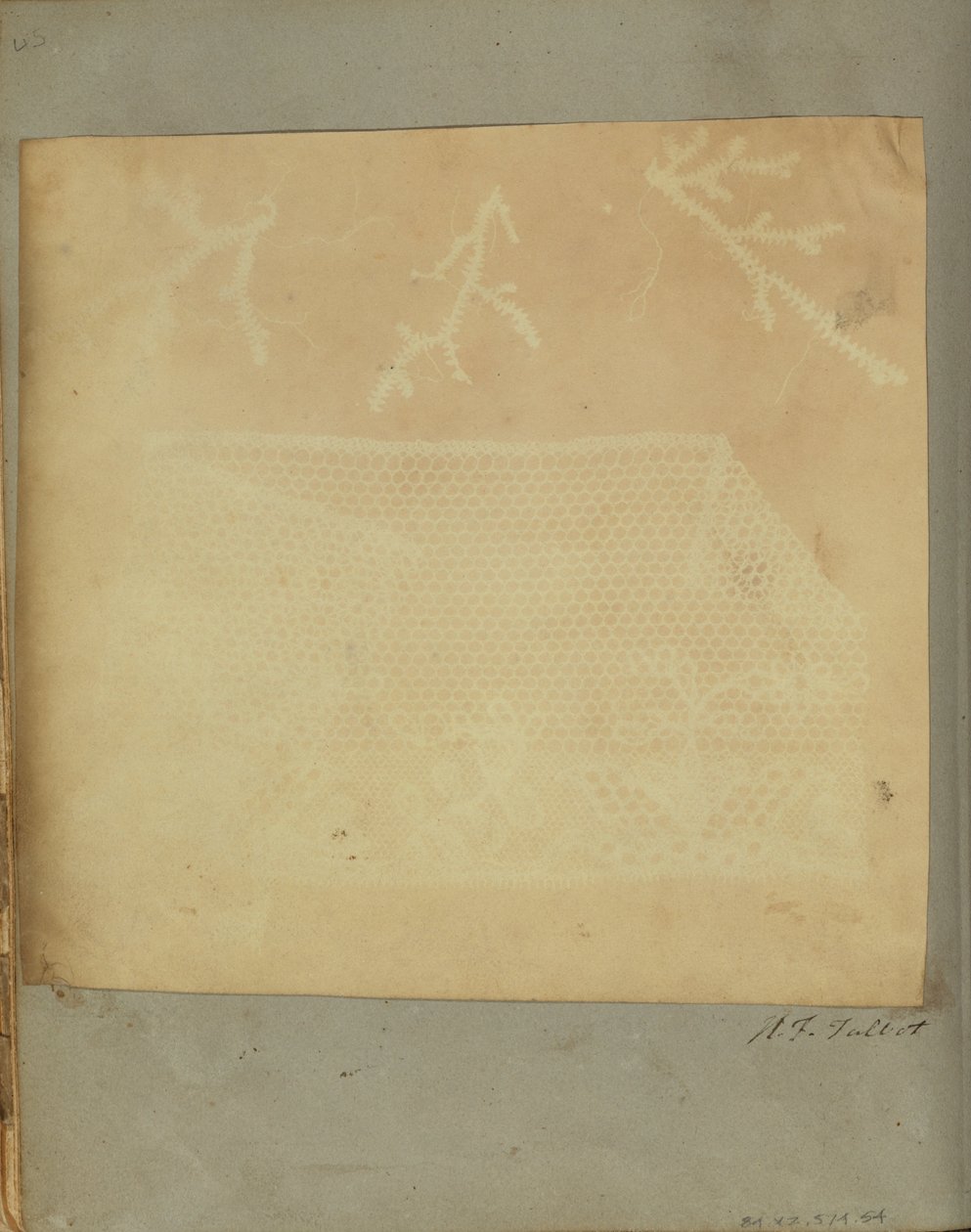 Um fragmento de rendas com três raminhos de musgo. de William Henry Fox Talbot