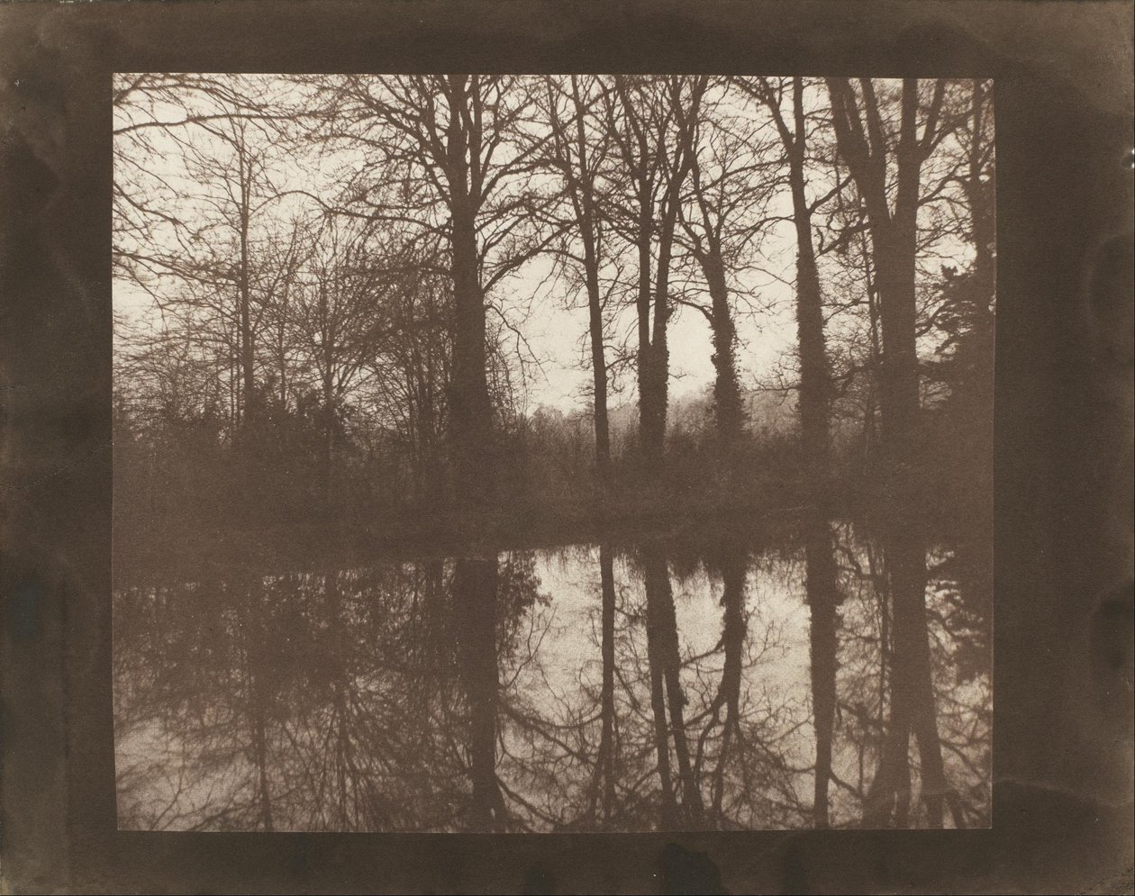 Árvores e reflexões de William Henry Fox Talbot