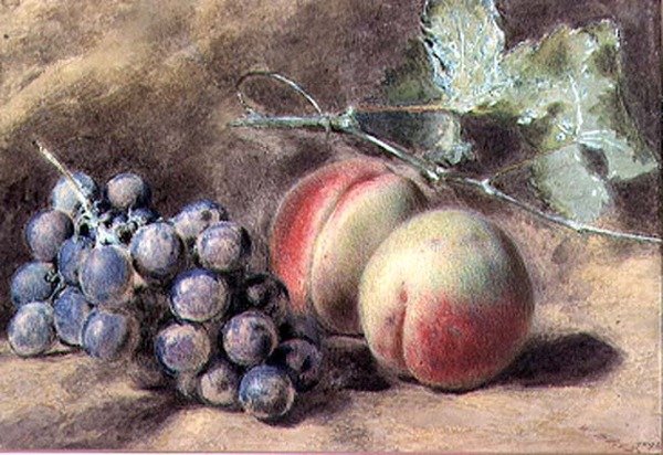Uvas e pêssegos, século XIX de William Henry Hunt