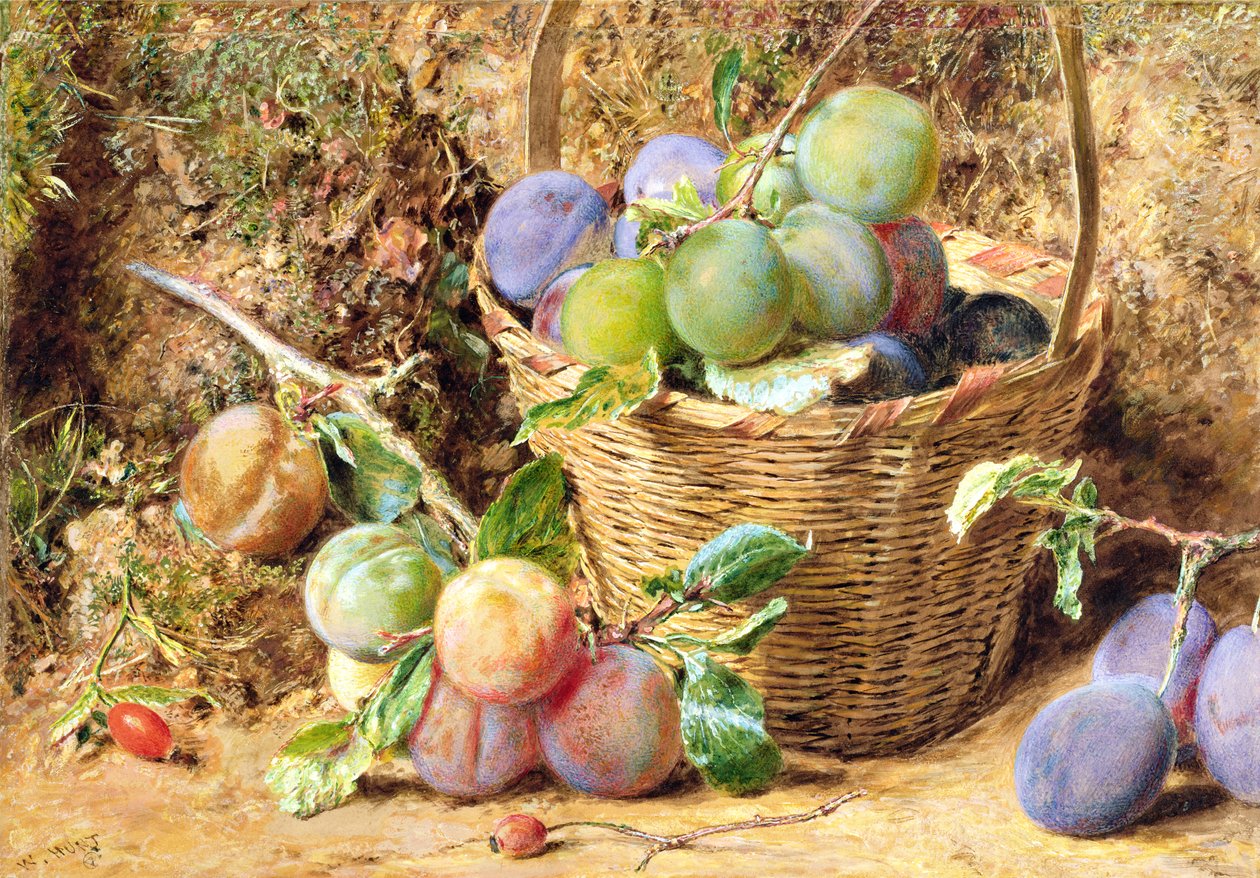 Ameixas (wc) de William Henry Hunt