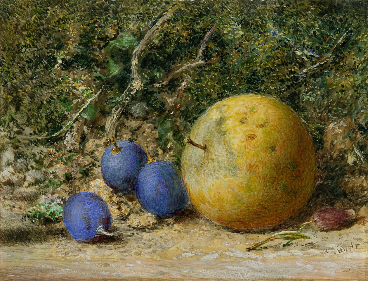 Três uvas e uma maçã (wc no papel) de William Henry Hunt