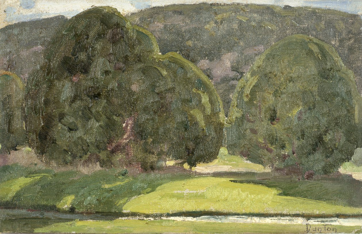 Luz do Sol e Cedros, c.1933 de William Herbert Buck Dunton