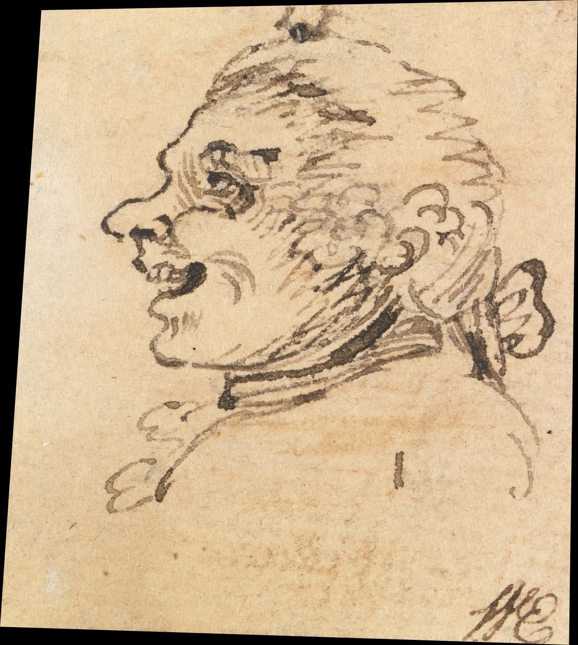 Cabeça masculina grotesca de William Hogarth