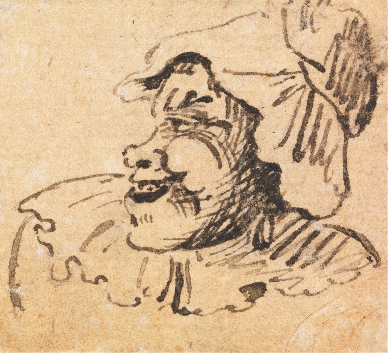 Cabeça masculina grotesca de William Hogarth