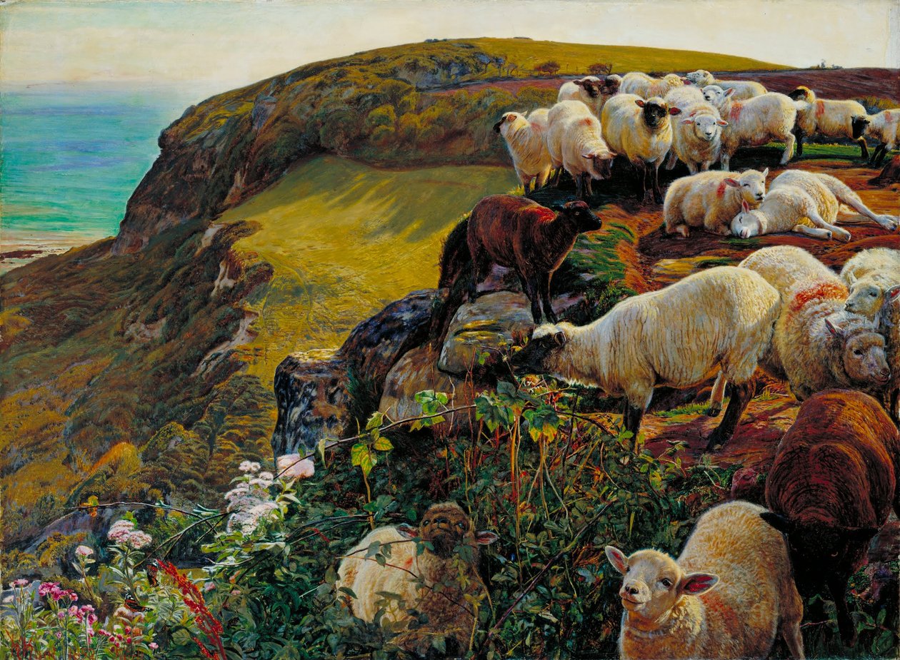 Nossas Costas Inglesas, 1852 (`Strayed Sheep) de William Holman Hunt