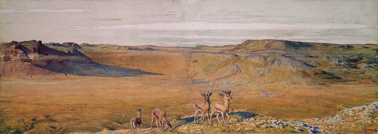 O deserto de Gizé, 1854 de William Holman Hunt