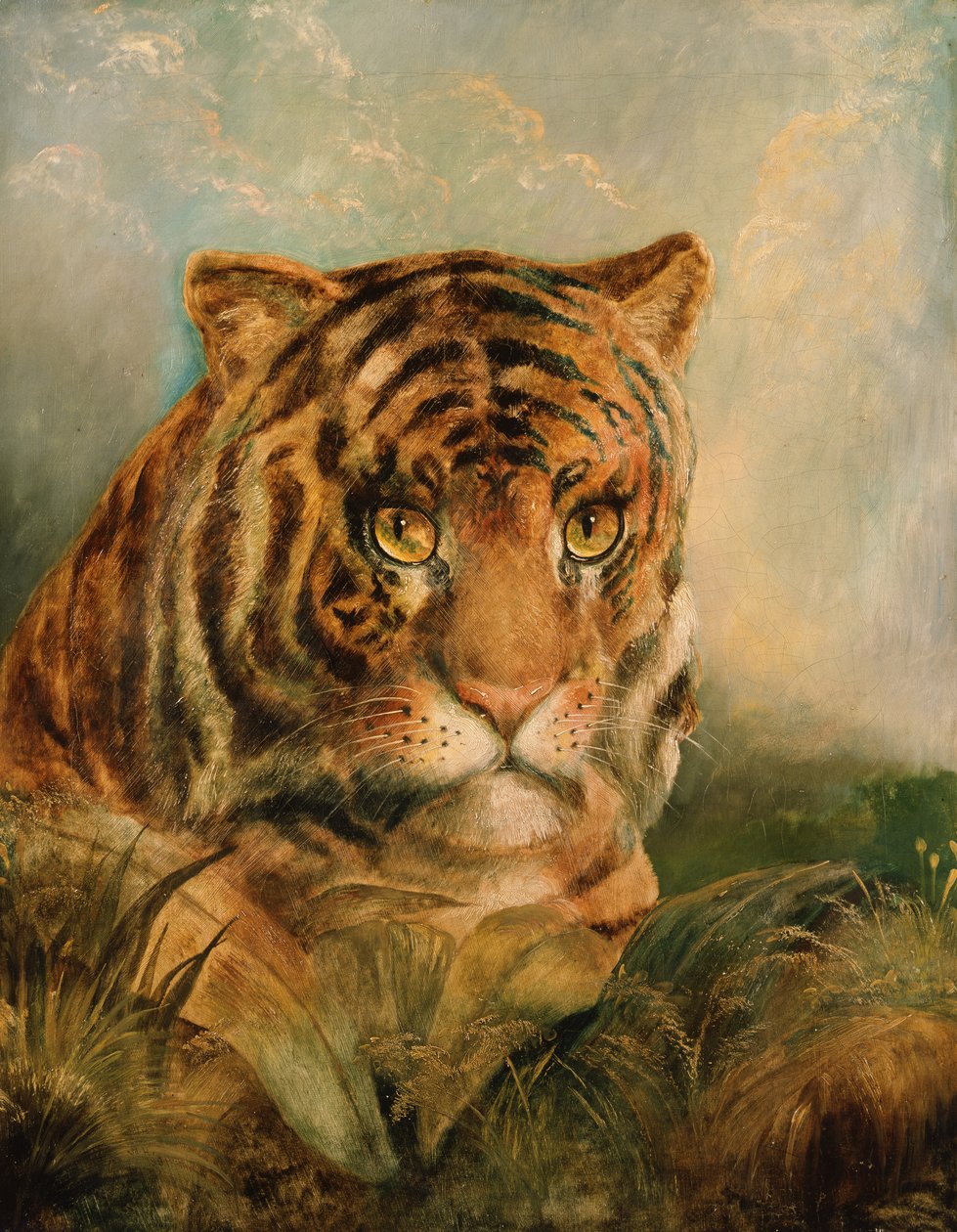 Imagem desconhecida de William Huggins