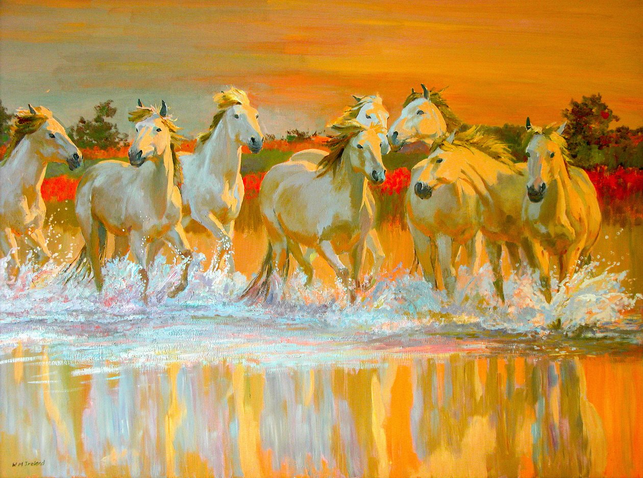 Camargue de William Ireland