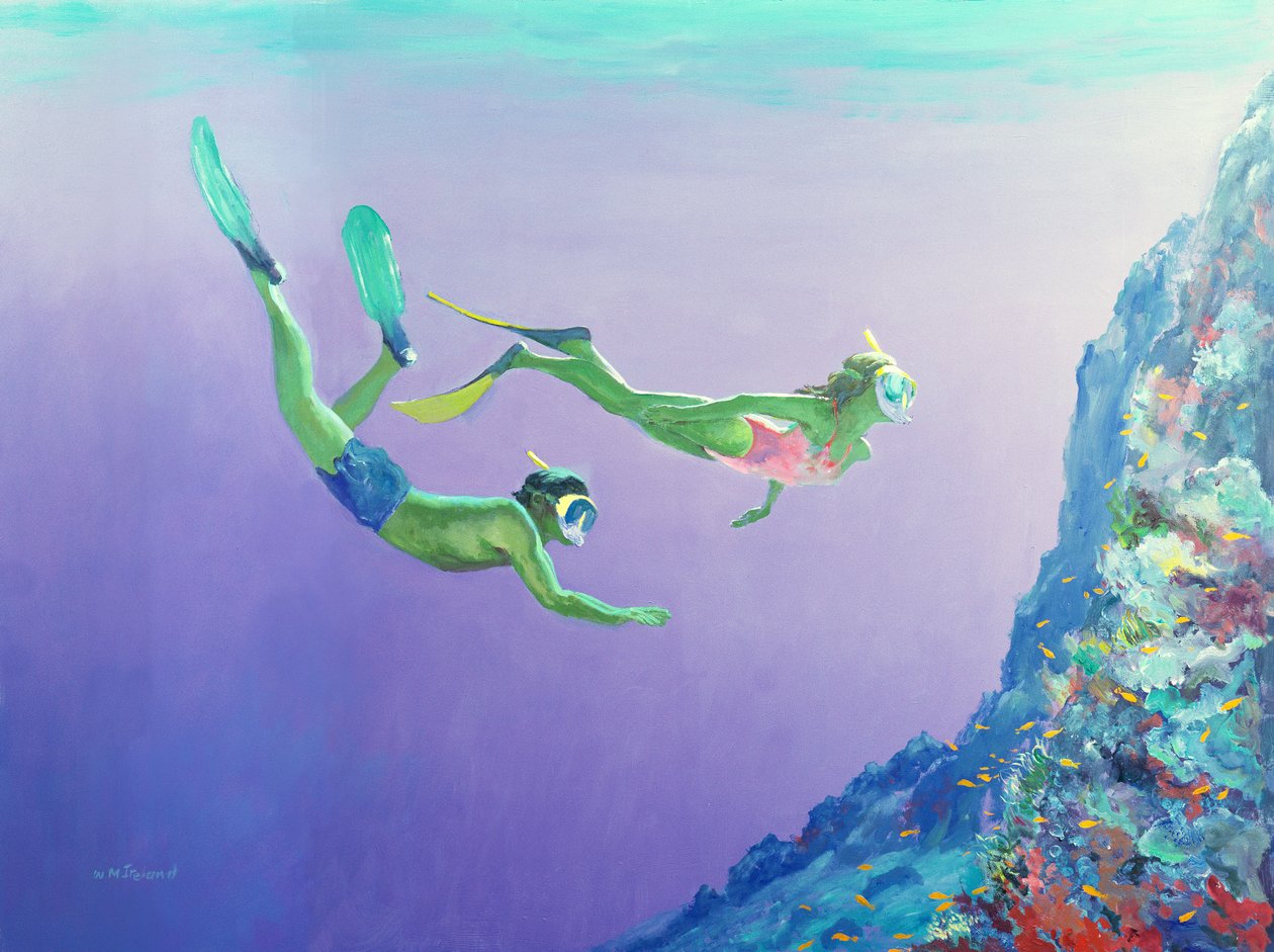 Snorklers de William Ireland