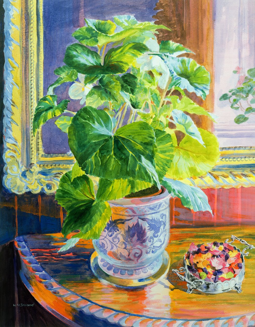 Para a luz de William Ireland