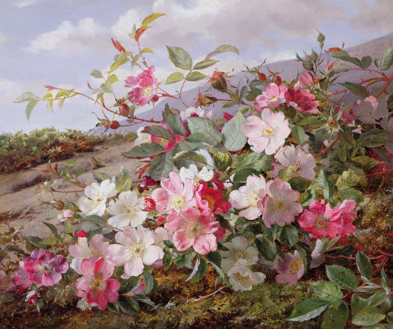 Eglantine, 1883 de William Jabez Muckley