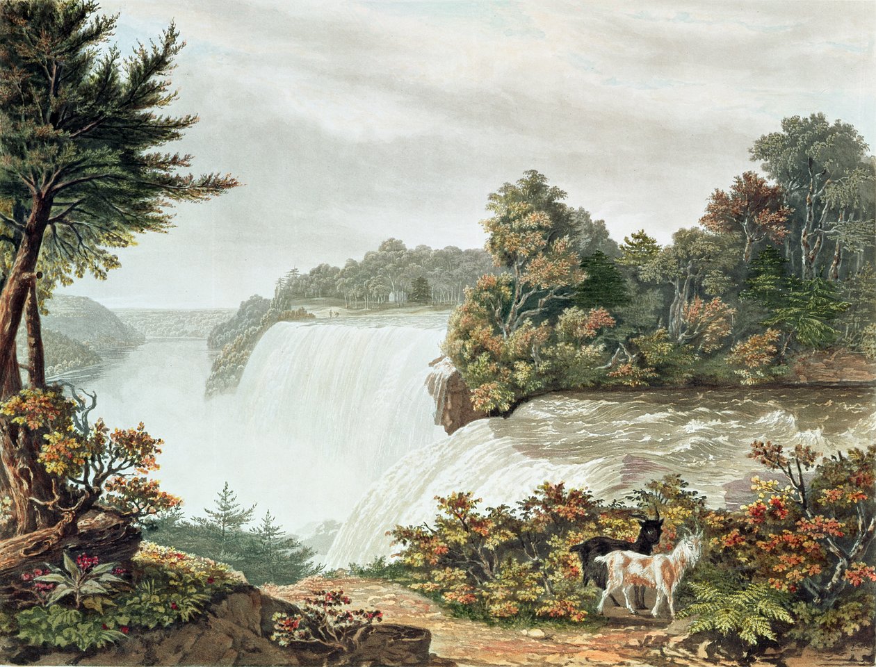 Cataratas do Niágara, de Goat Island de William James Bennett