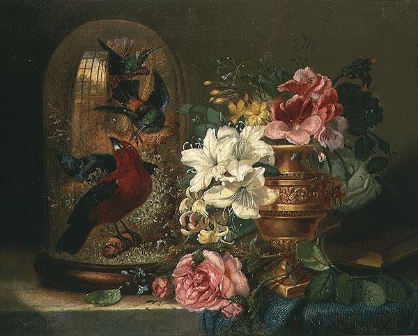 Ainda vida com flores e pássaros de John Wainwright