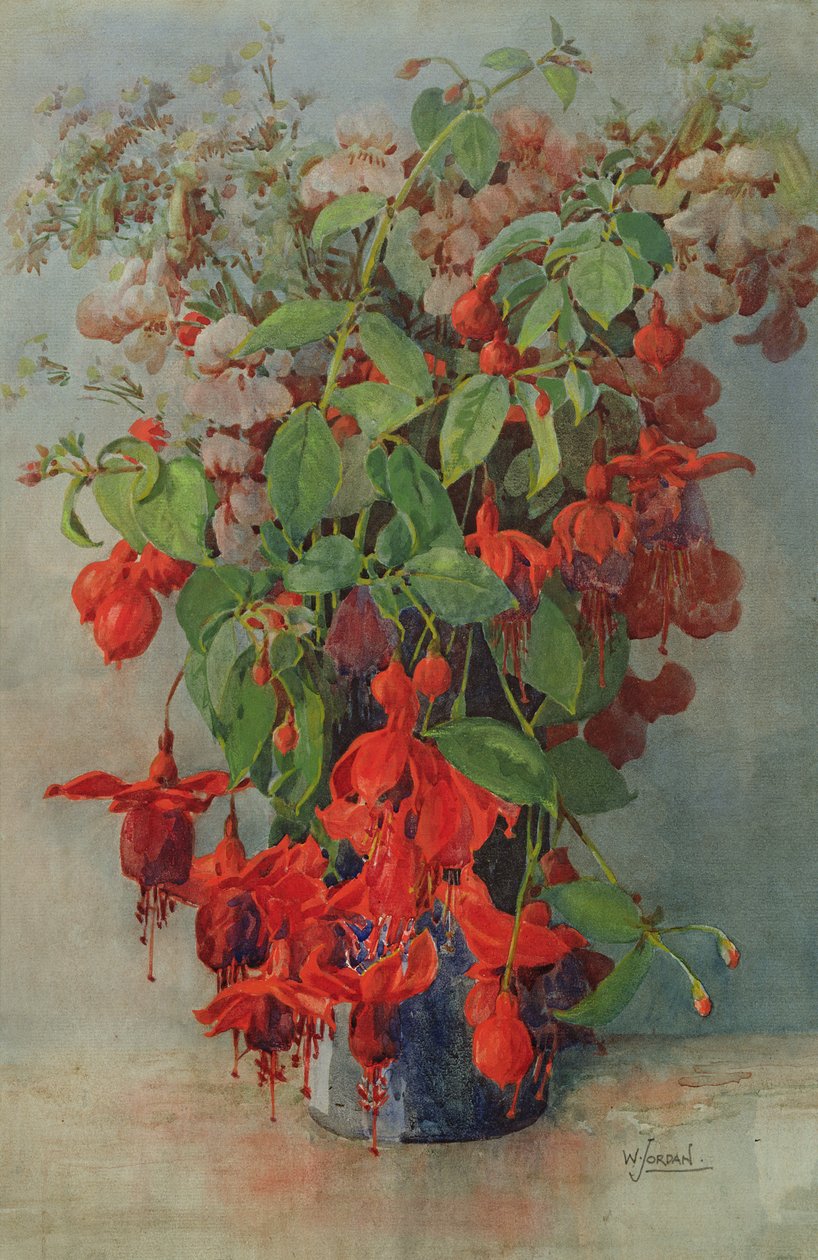 Fushia e Snapdragon em um vaso (lápis e wc) de William Jordan