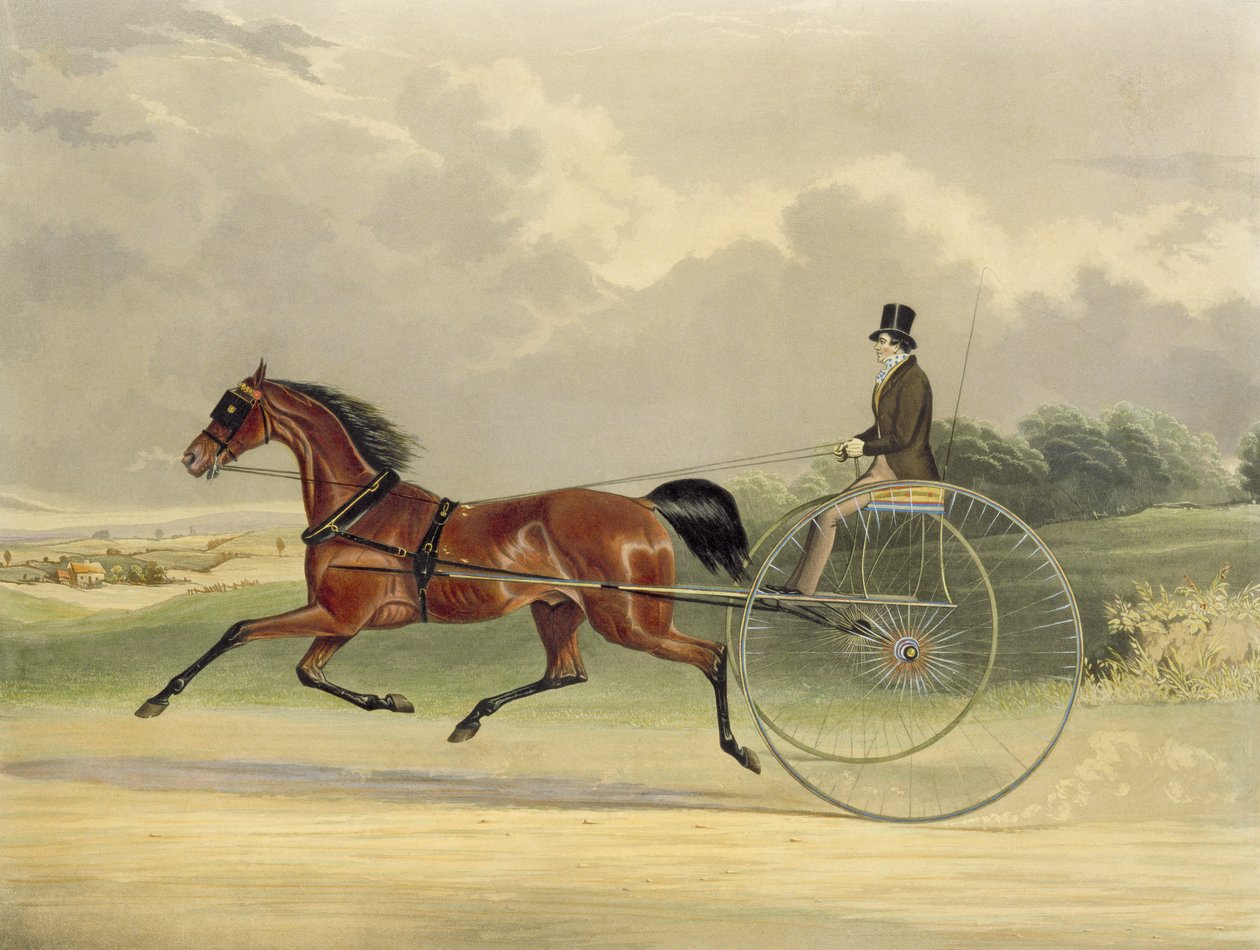 Senhor William, gravado por JR Macrell (fl.1845), 1845 (gravura a cor) de William Joseph Shayer