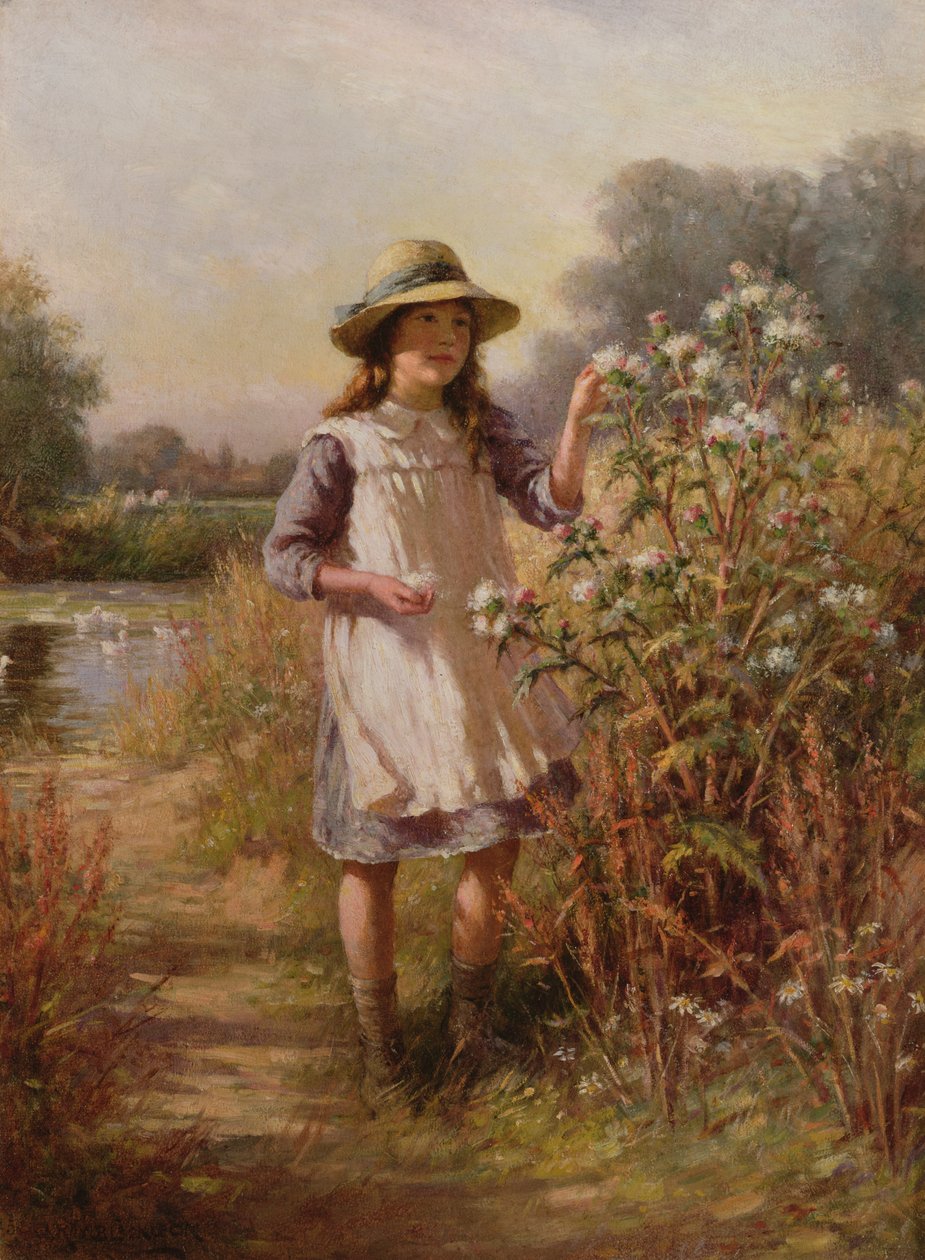 Imagem desconhecida de William Kay Blacklock