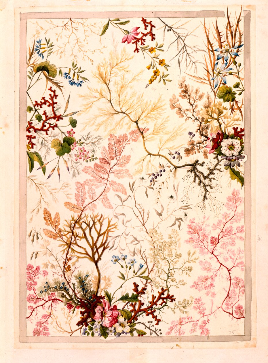 Papel final de mármore (papel) de William Kilburn
