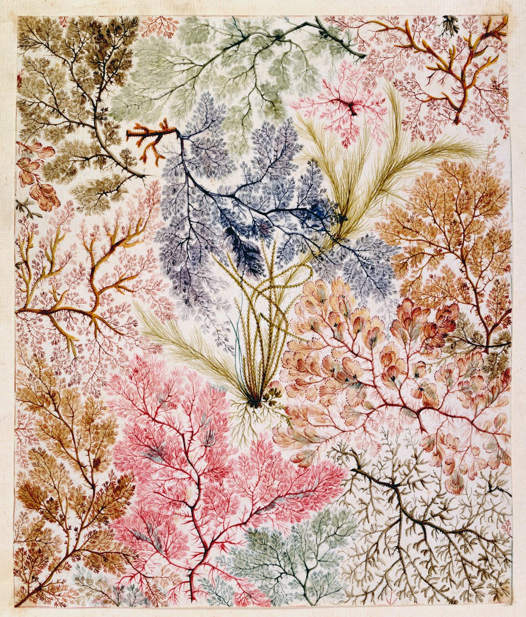 Design têxtil, c.1788-92 de William Kilburn