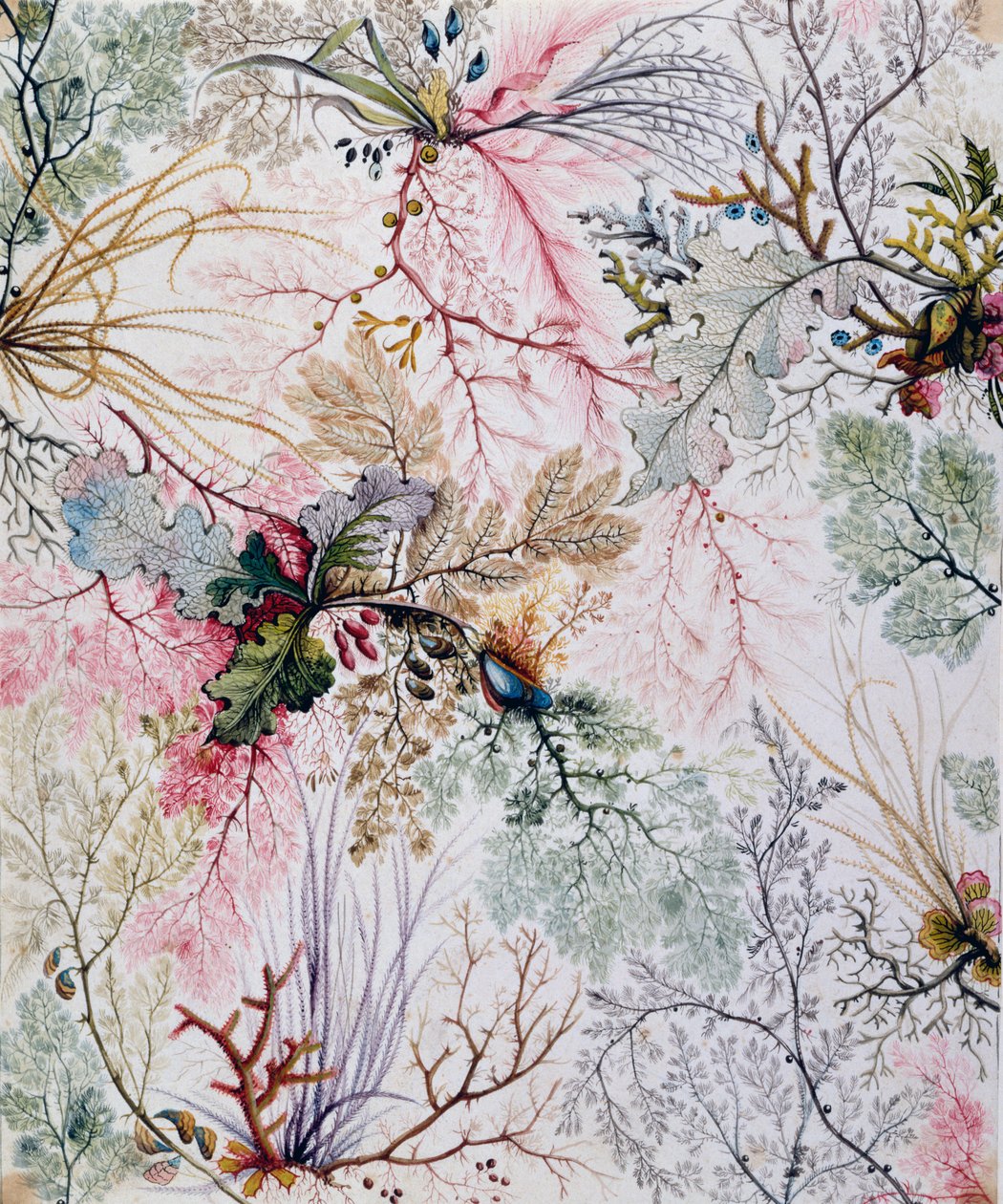 Design têxtil, c.1788-92 de William Kilburn