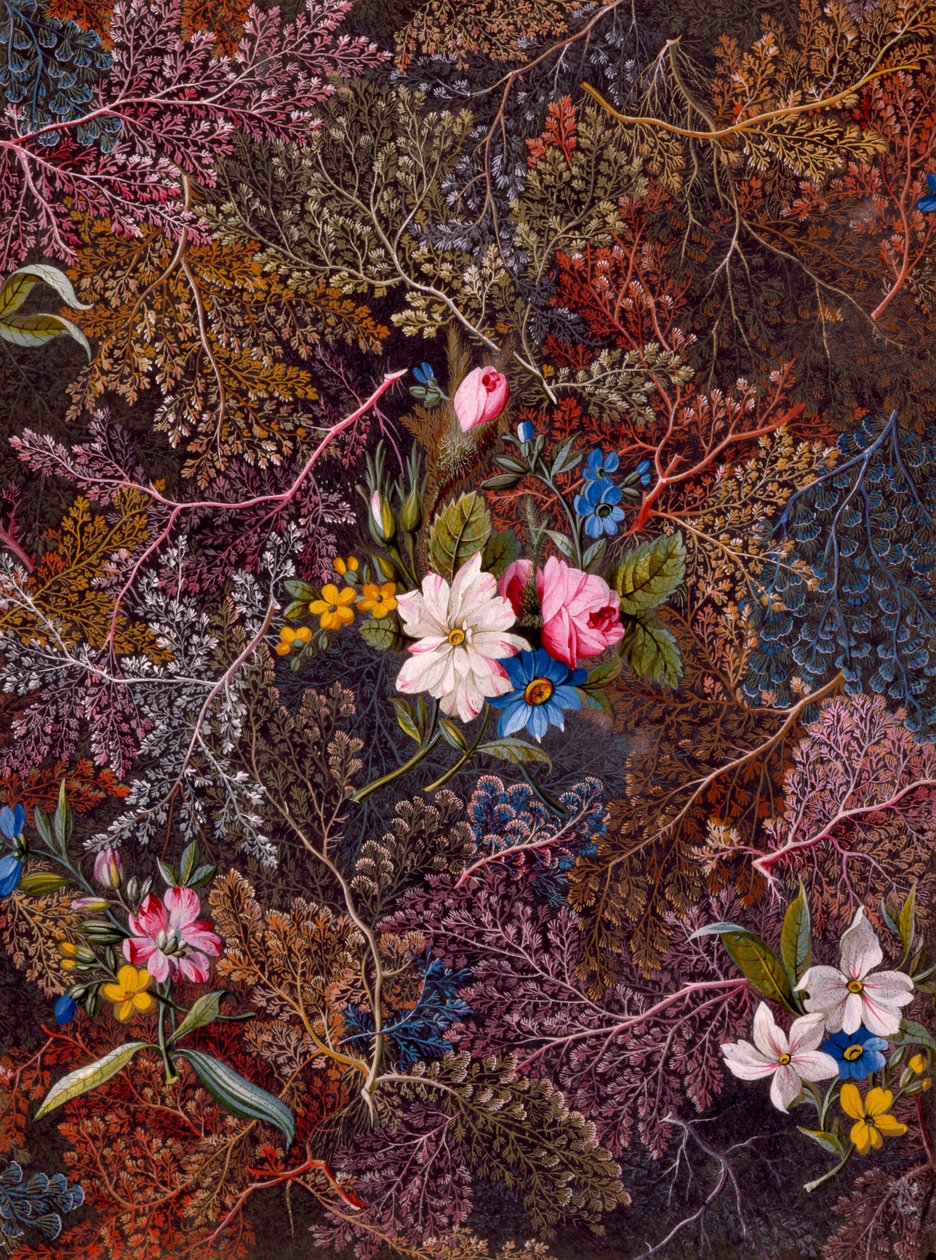 Design têxtil, c.1788-92 de William Kilburn