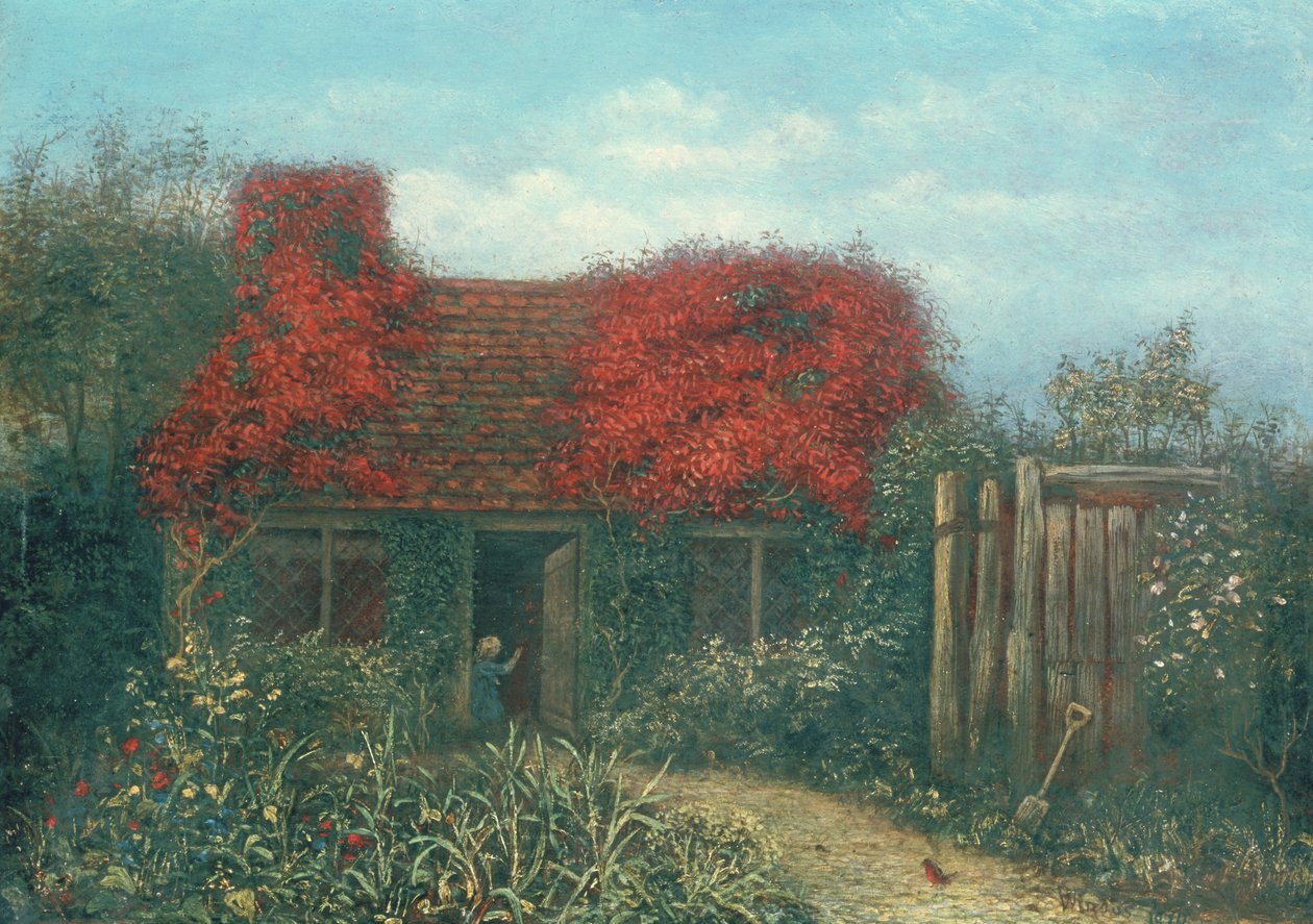 O creeper de Virgínia de William Lindsay Windus