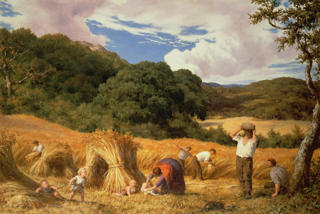 Milharal em Surrey, 1860 de William Linnell