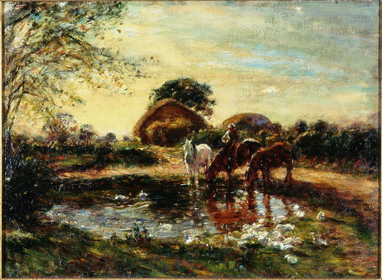 A lagoa da fazenda de Mark Fisher
