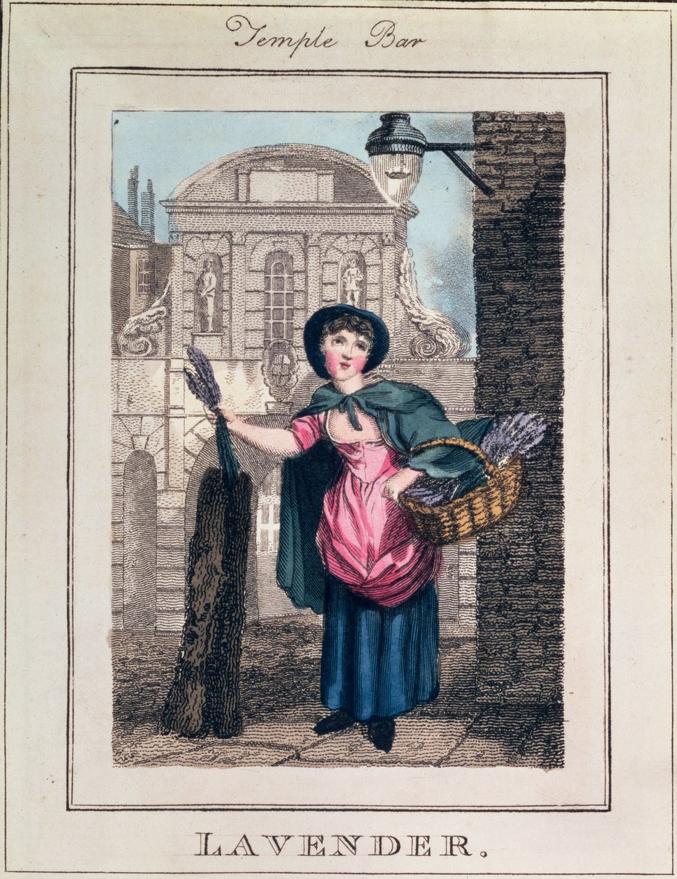 Lavanda, Temple Bar, de &39;Cries of London&39;, pub. por Richard Phillips (1778-1851) 1804 de William Marshall Craig