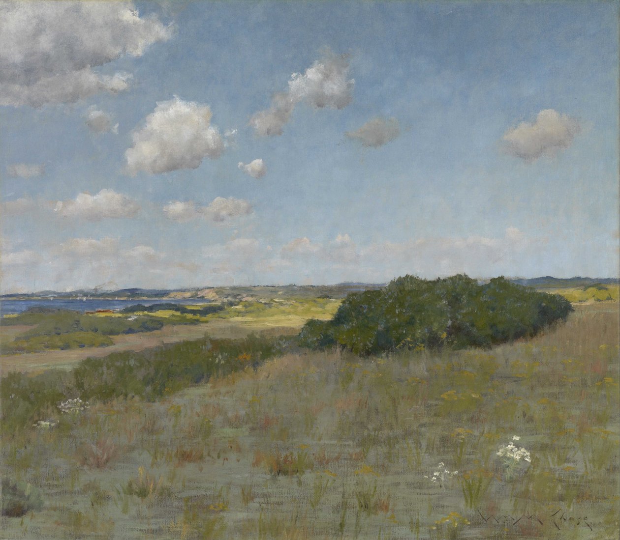 Luz Solar e Sombra, Shinnecock Hills de William Merritt Chase