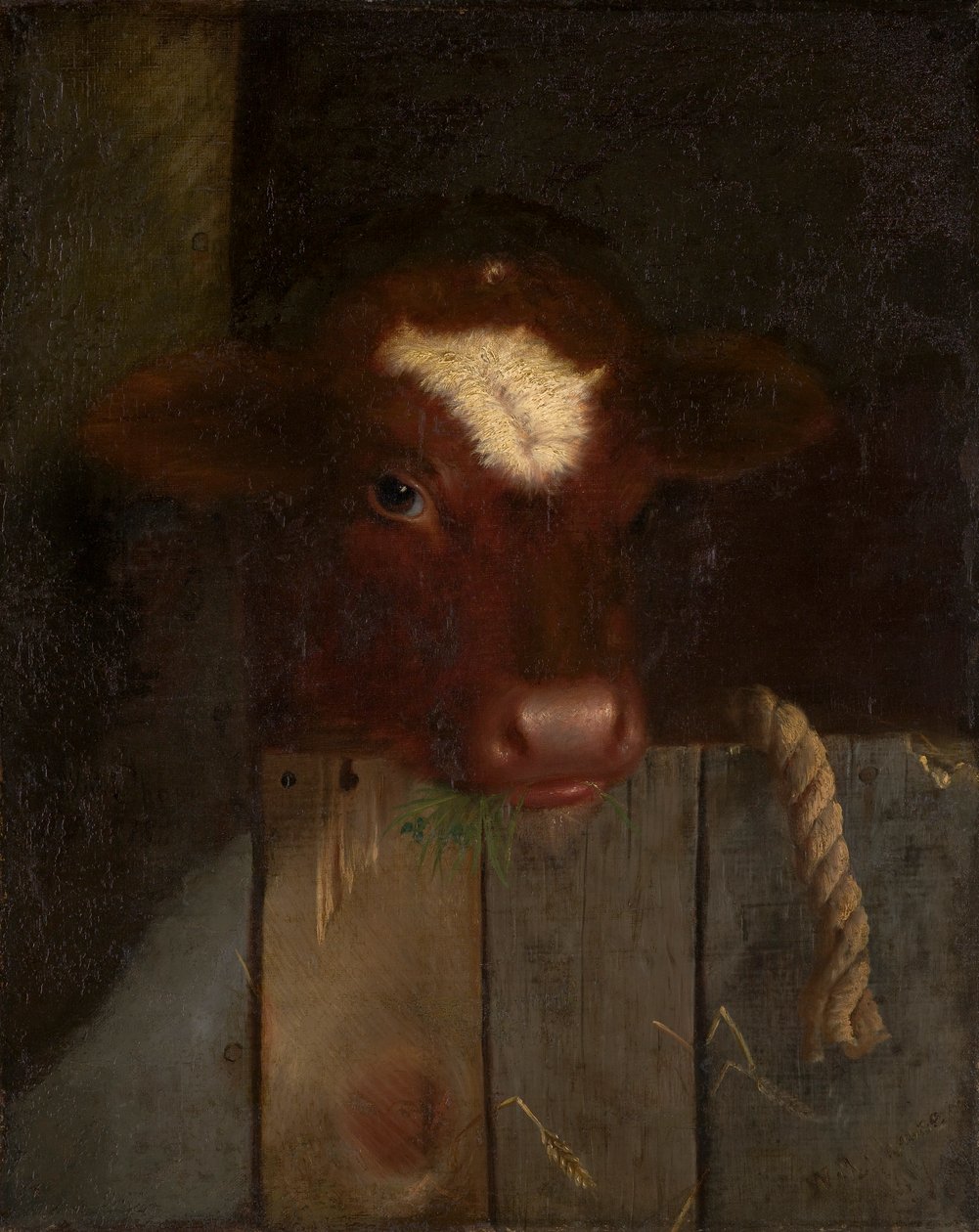 A vaca da família (cabeça de bezerro) de William Merritt Chase