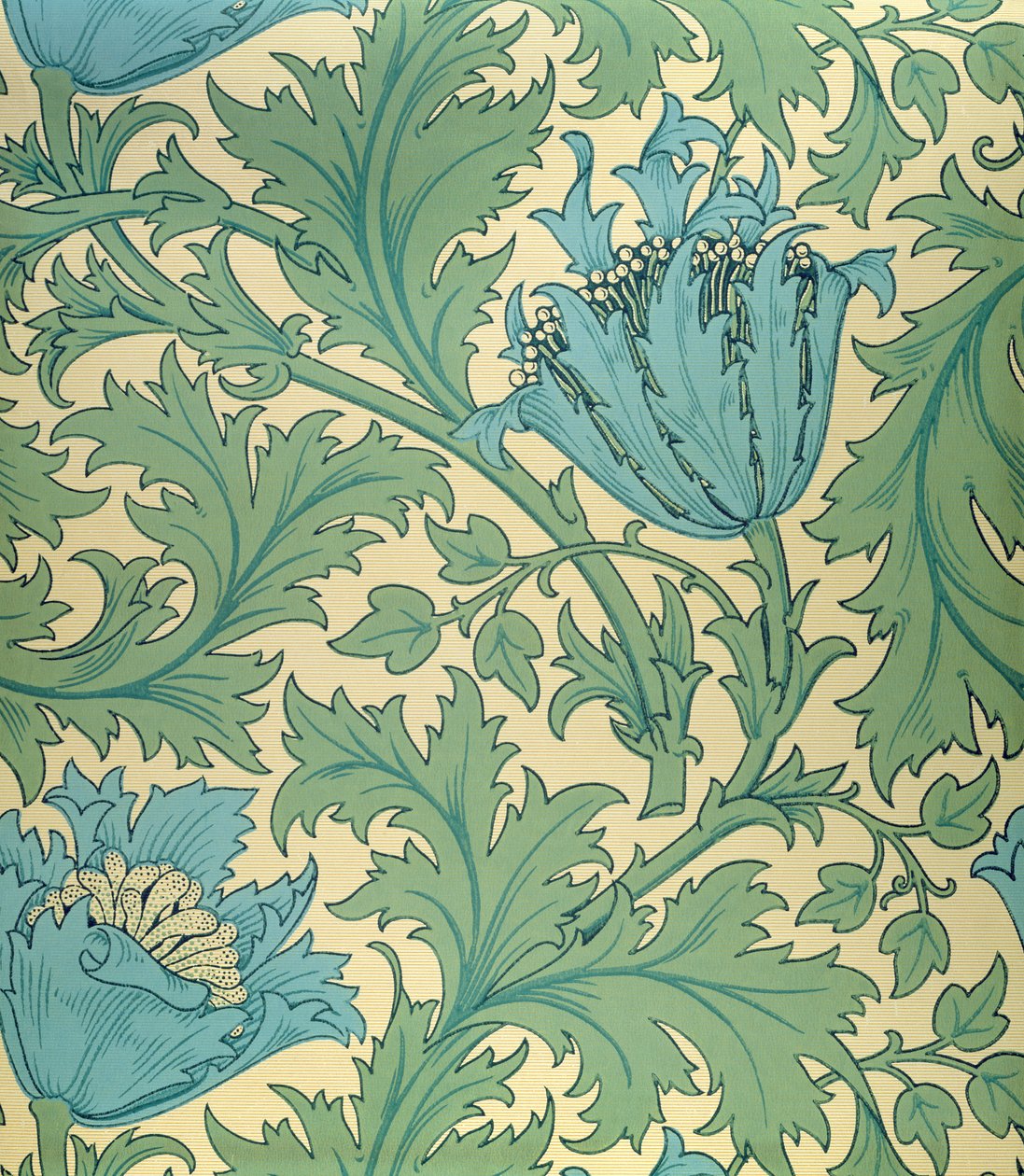 Design de &39;anémona&39; (têxtil) de William Morris