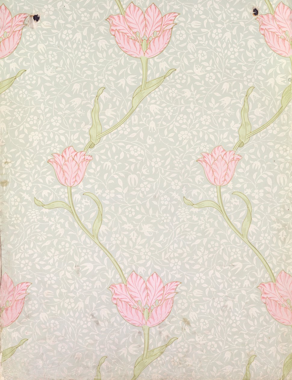 Design de papel de parede &39;Garden Tulip&39;, 1885 de William Morris