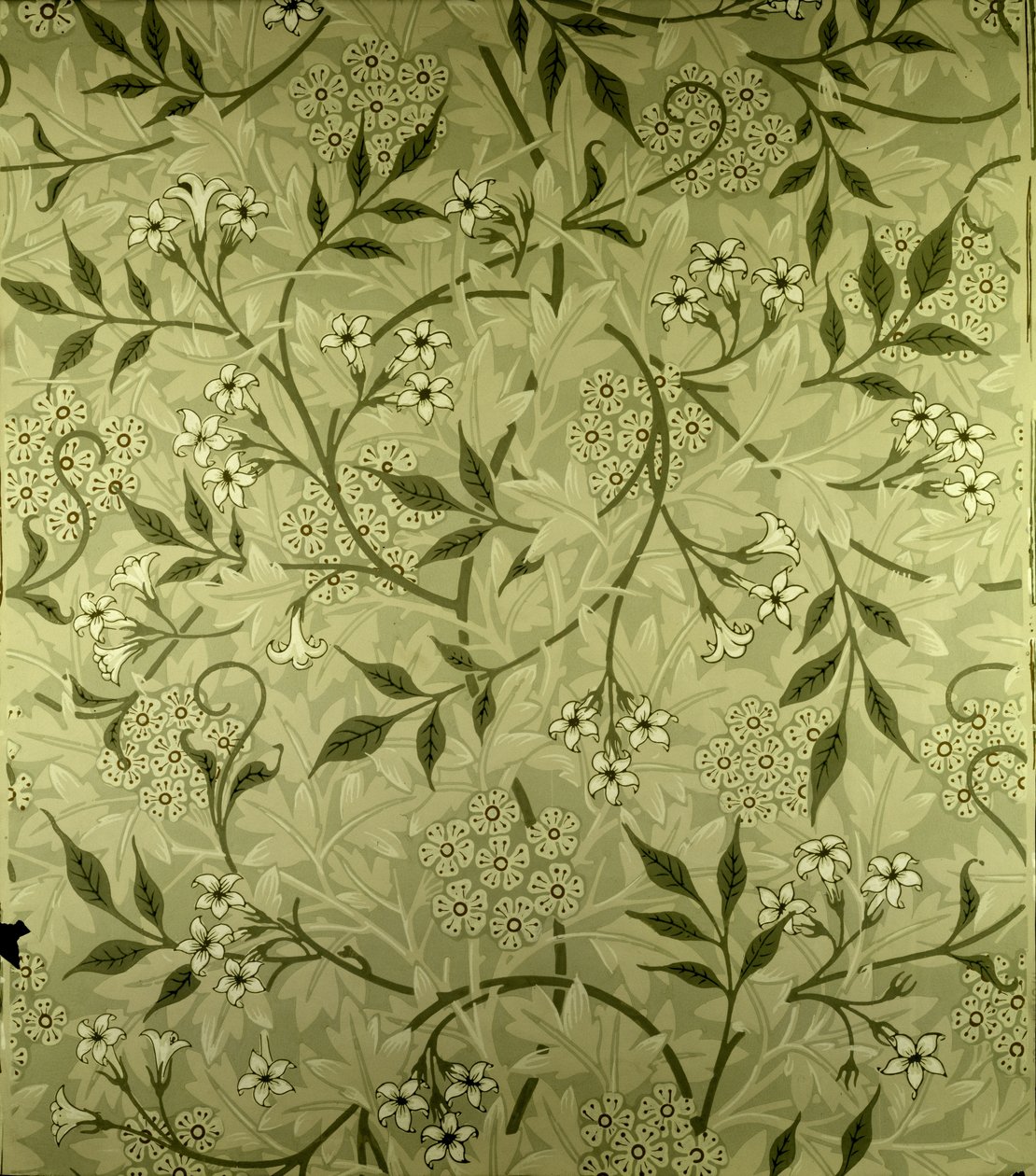 Design de papel de parede &39;Jasmine&39;, 1872 de William Morris