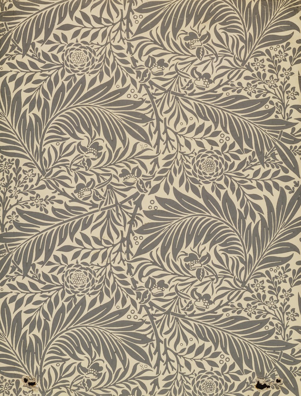Larkspur, design de papel de parede, 1872 de William Morris