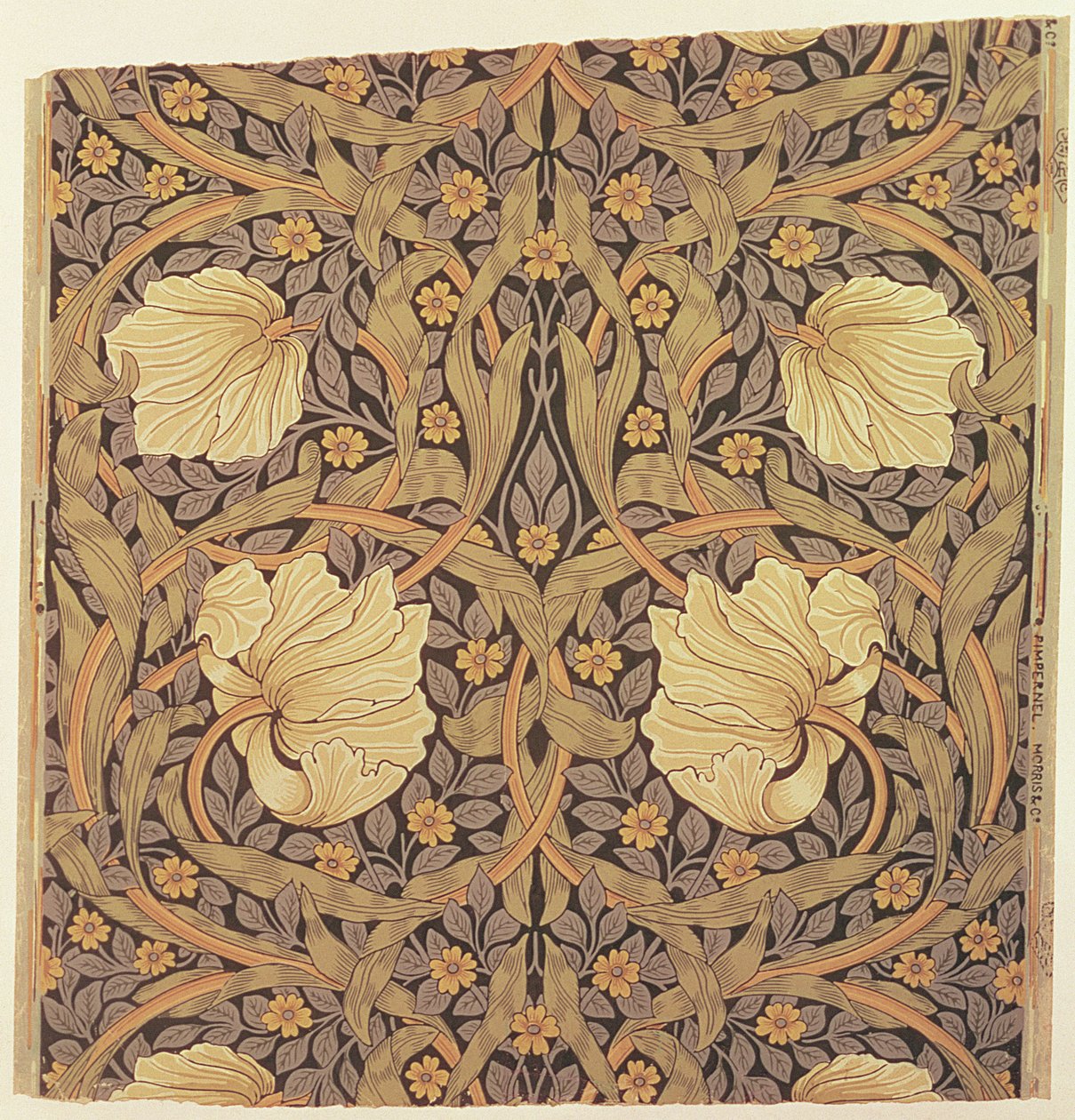 Design de papel de parede &39;Pimpernel&39;, 1876 de William Morris