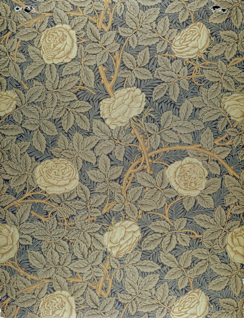 Design &39;Rose&39; de William Morris