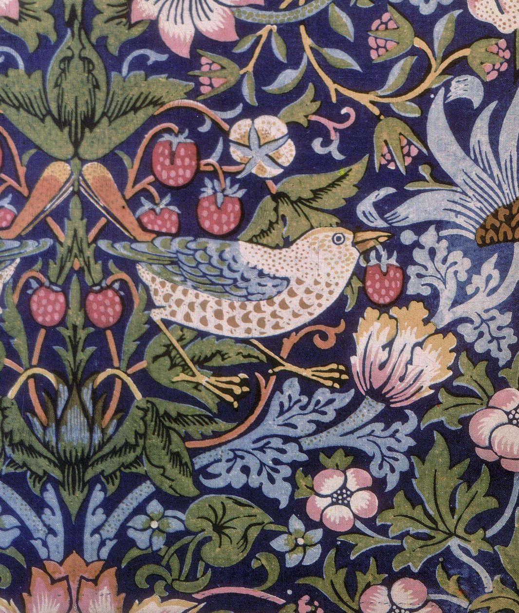 Cortina de ladrão de morango, 1883 (têxtil estampado) de William Morris