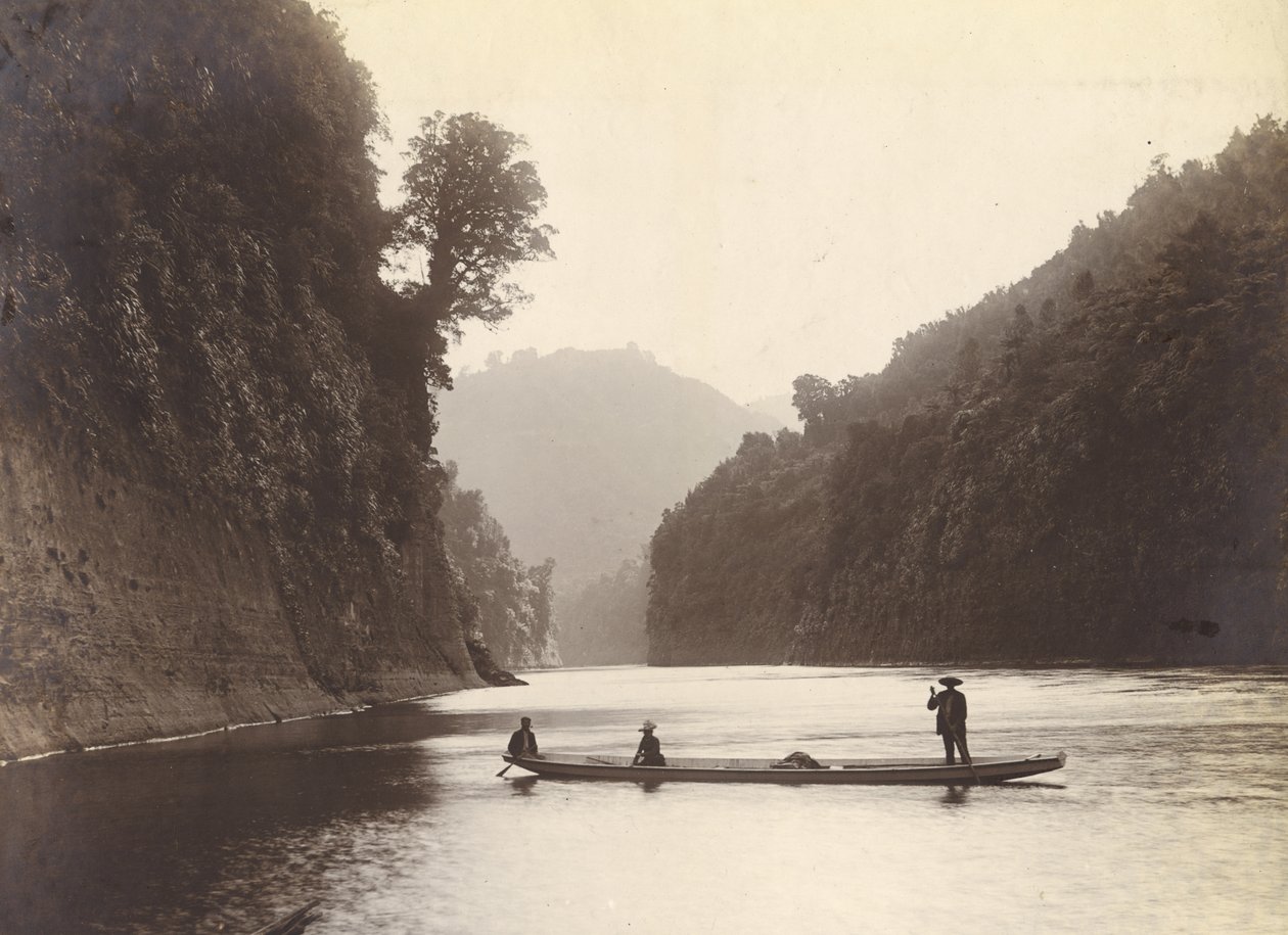 Rio Whanganui, c.1905 (impressão de gelatina de prata) de William Partington
