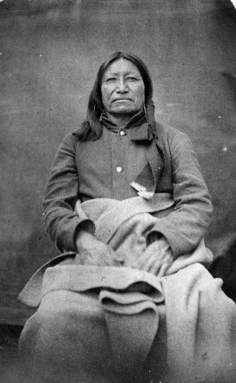 Cauda Manchada, Chefe Sioux, c.1870 de William Richard Cross
