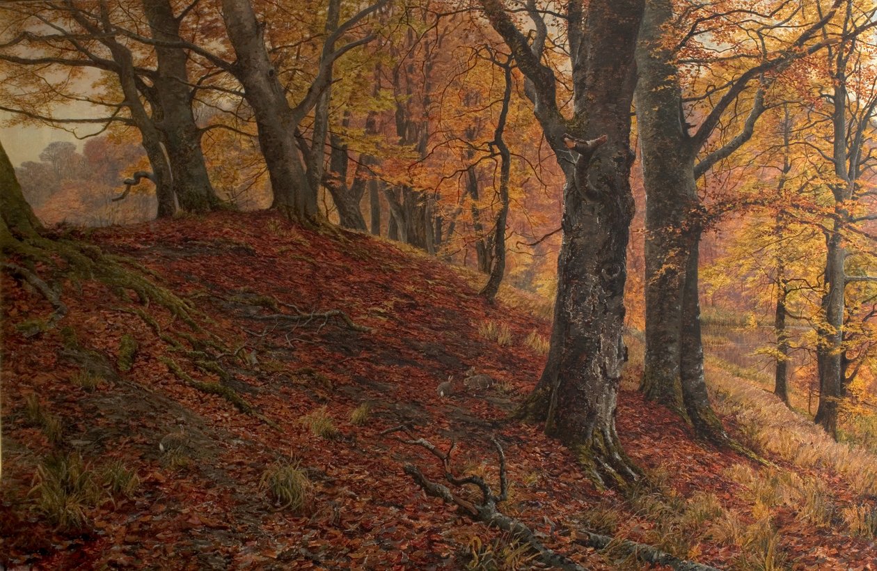 Na queda de folha, Arundel Park, Sussex de William Samuel Jay