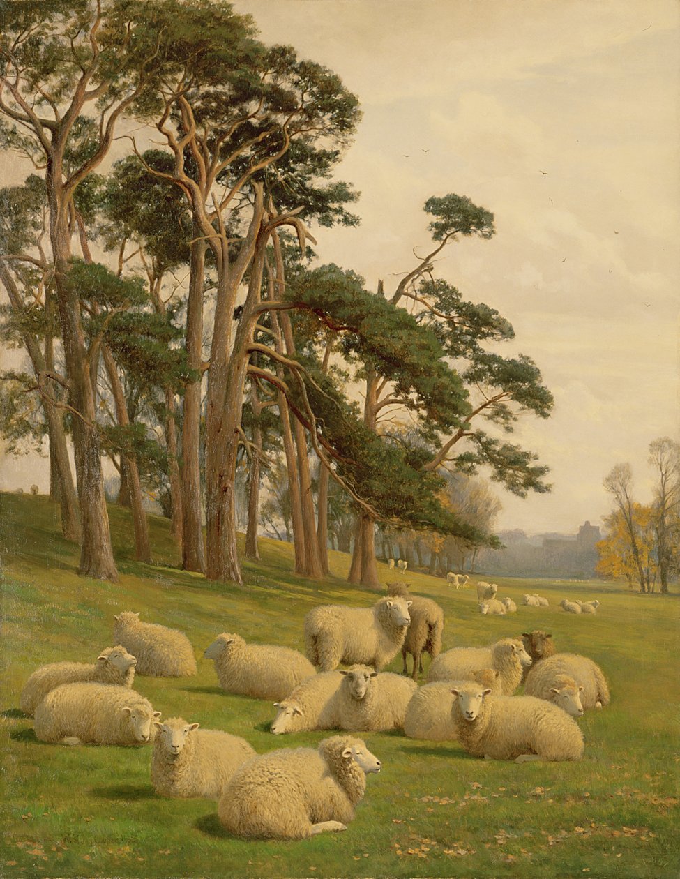 Pastagens iluminadas pelo sol de William Sidney Cooper
