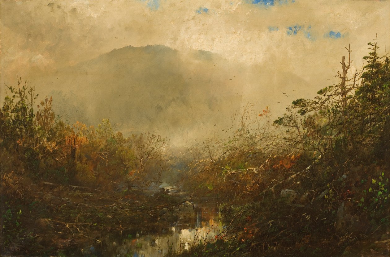 Vindo Tempestade no Adirondacks de William Sonntag