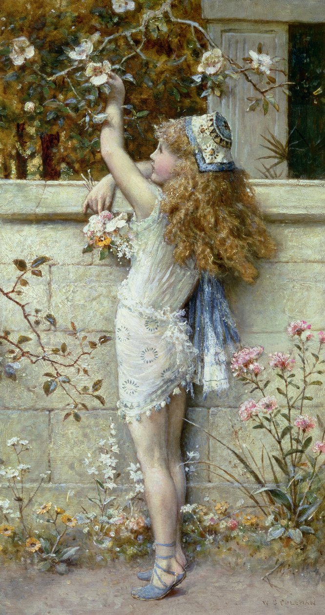 Recolha de flores (óleo) de William Stephen Coleman