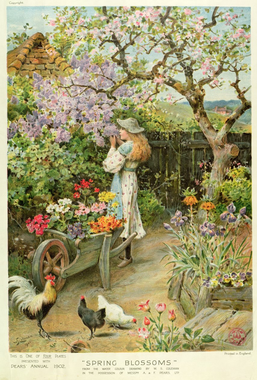 Flores de primavera, do anual de peras, 1902 de William Stephen Coleman